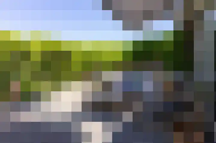 Schouwmeester 90 Zwaag thumbnail 4