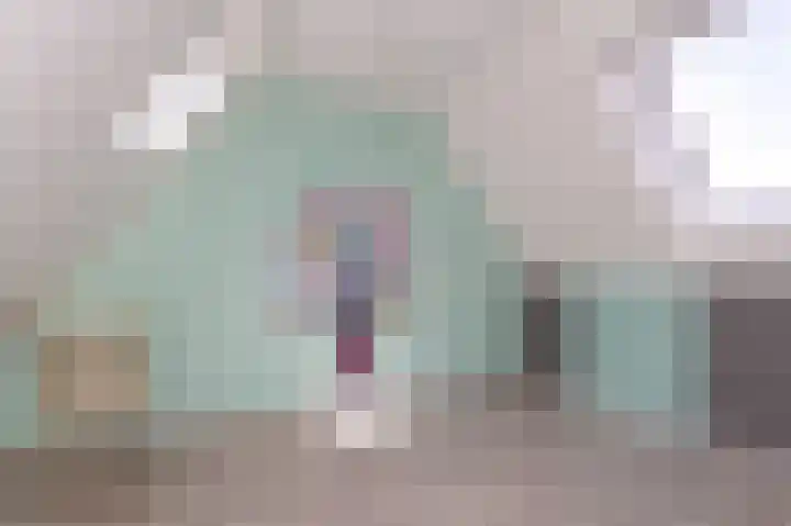 Schouwmeester 90 Zwaag thumbnail 42