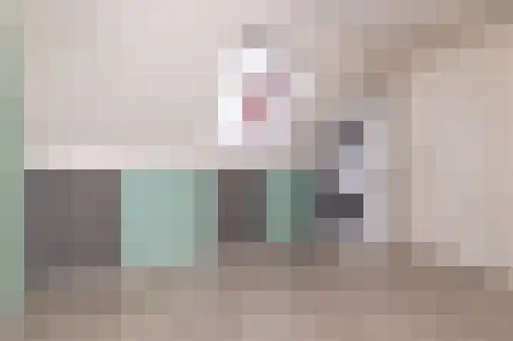 Schouwmeester 90 Zwaag thumbnail 43