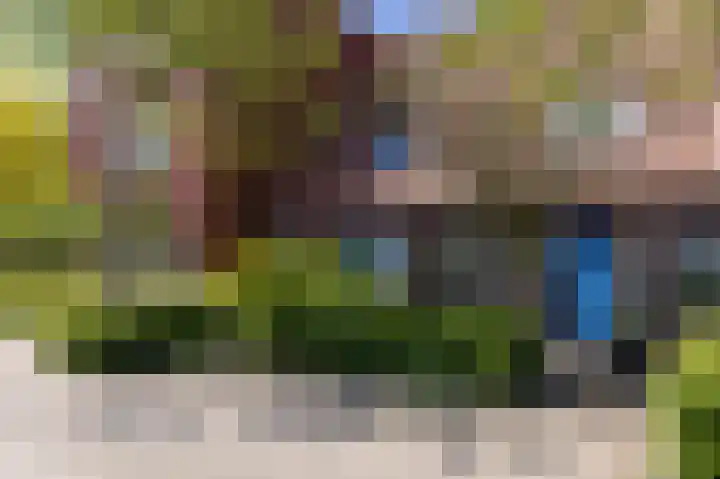 Schouwmeester 90 Zwaag thumbnail 45