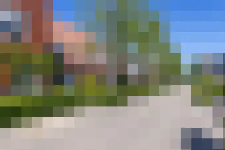 Schouwmeester 90 Zwaag thumbnail 46