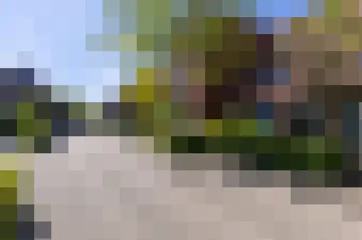 Schouwmeester 90 Zwaag thumbnail 48