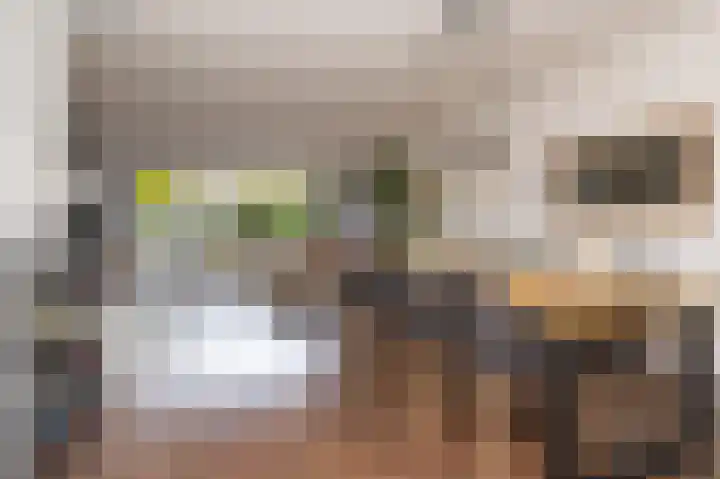 Schouwmeester 90 Zwaag thumbnail 5