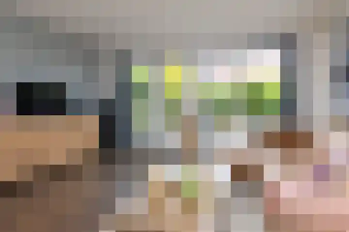 Schouwmeester 90 Zwaag thumbnail 6