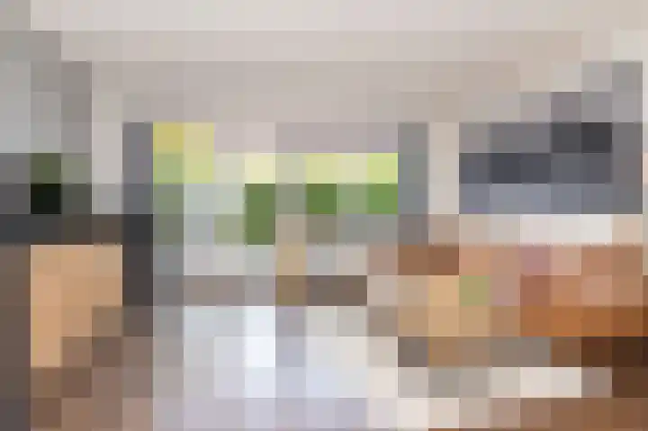 Schouwmeester 90 Zwaag thumbnail 7