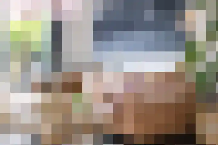 Schouwmeester 90 Zwaag thumbnail 9