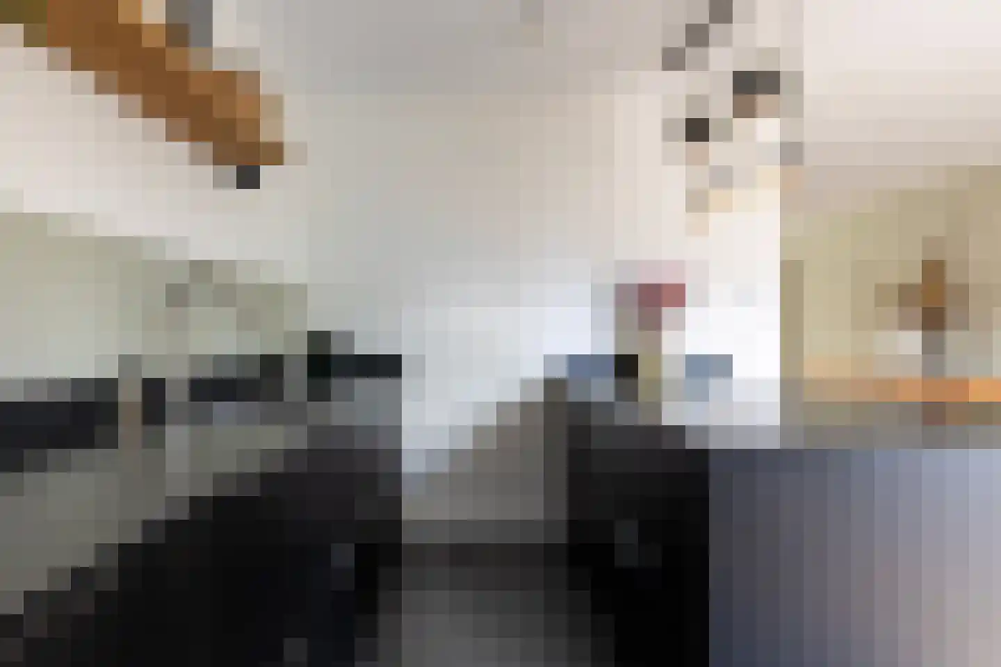 Schouwpad 22 Lopik thumbnail 18