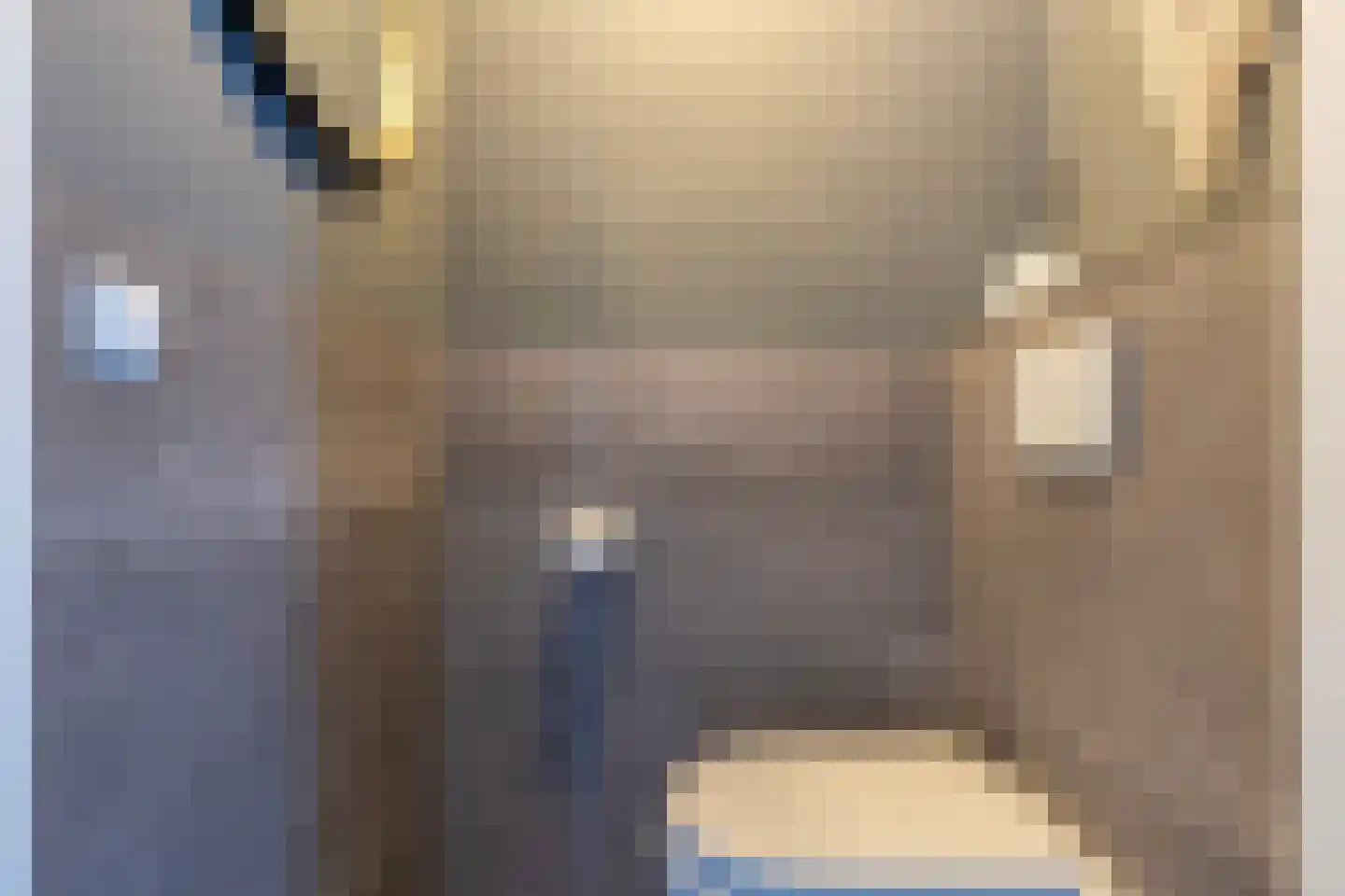 Schouwpad 22 Lopik thumbnail 26
