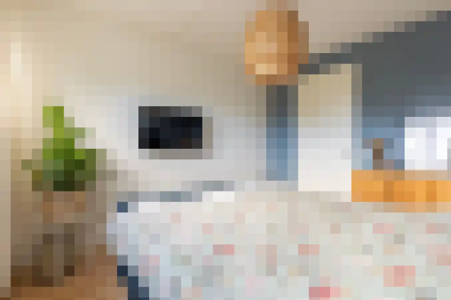 Schouwpad 22 Lopik thumbnail 30