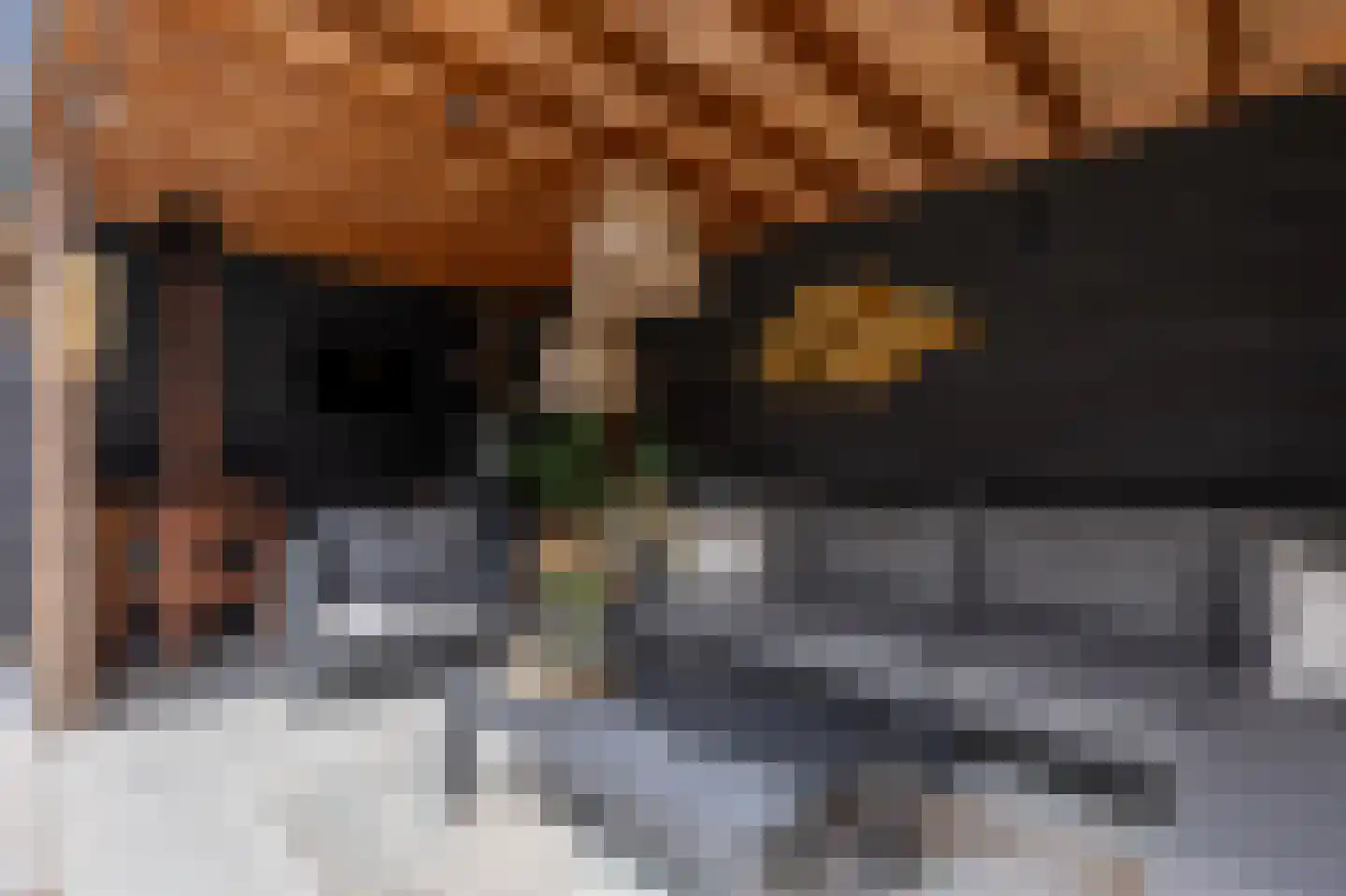 Schouwpad 22 Lopik thumbnail 61