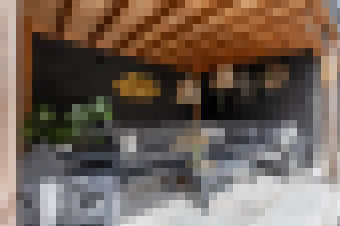 Schouwpad 22 Lopik thumbnail 62