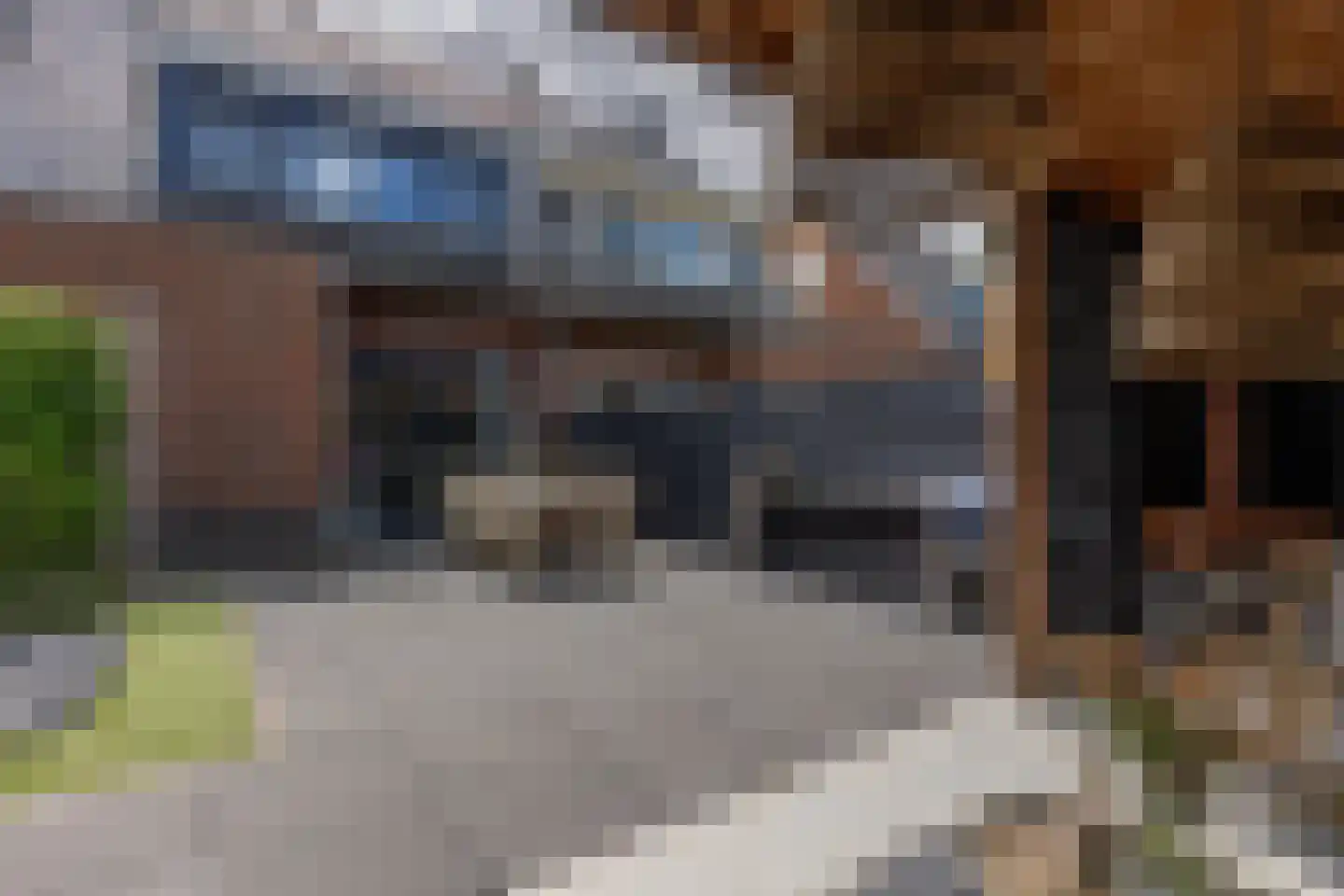 Schouwpad 22 Lopik thumbnail 63