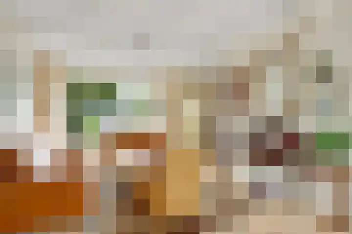 Schouwschuit 24 Grootebroek thumbnail 11