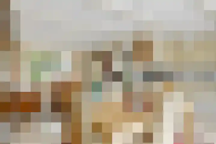 Schouwschuit 24 Grootebroek thumbnail 12