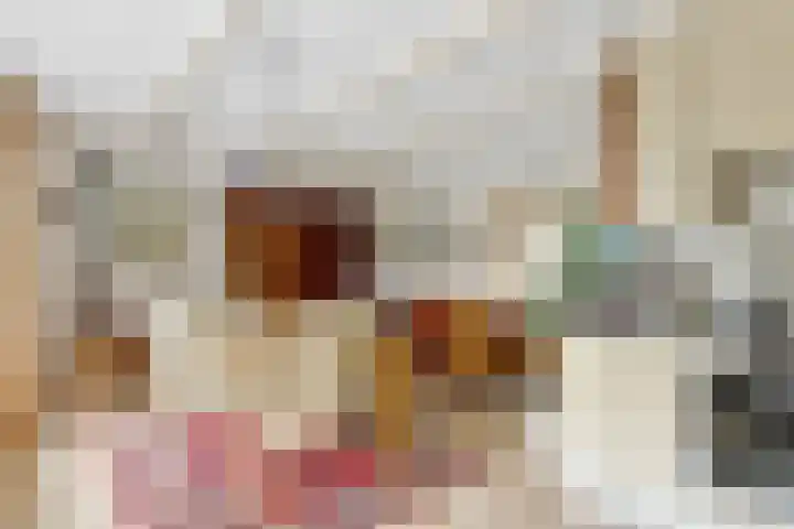 Schouwschuit 24 Grootebroek thumbnail 13