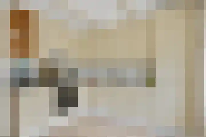 Schouwschuit 24 Grootebroek thumbnail 14