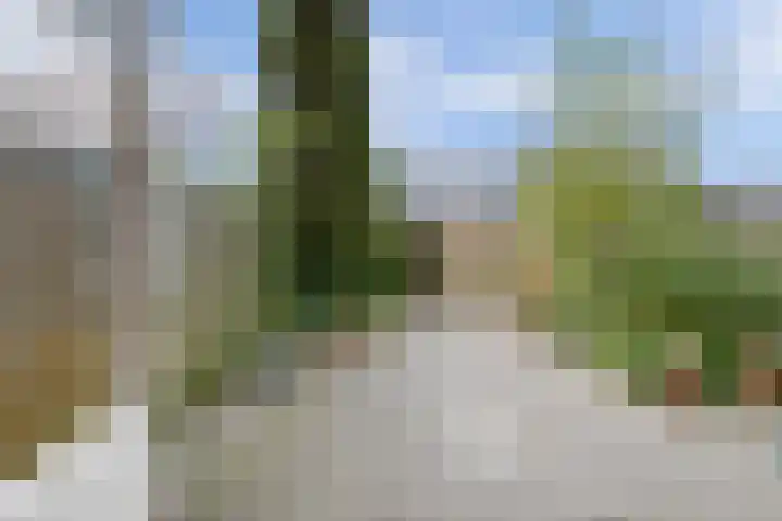 Schouwschuit 24 Grootebroek thumbnail 15