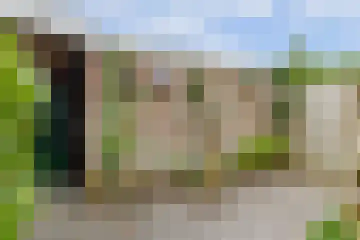 Schouwschuit 24 Grootebroek thumbnail 17