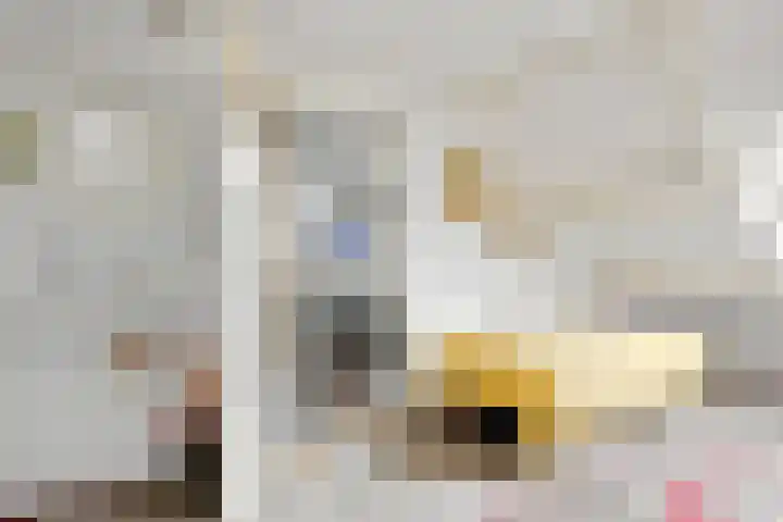 Schouwschuit 24 Grootebroek thumbnail 28