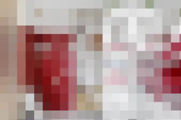 Schouwschuit 24 Grootebroek thumbnail 32