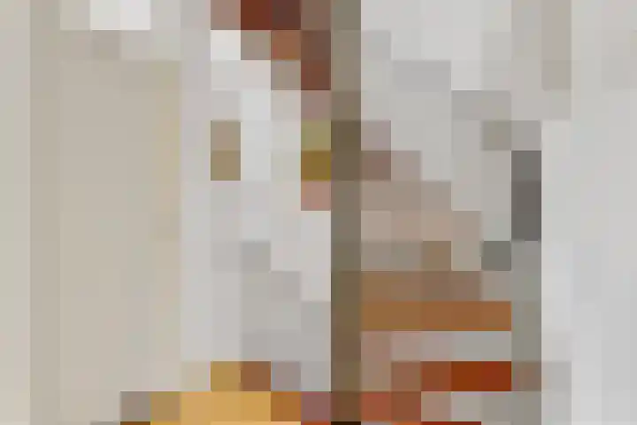 Schouwschuit 24 Grootebroek thumbnail 33