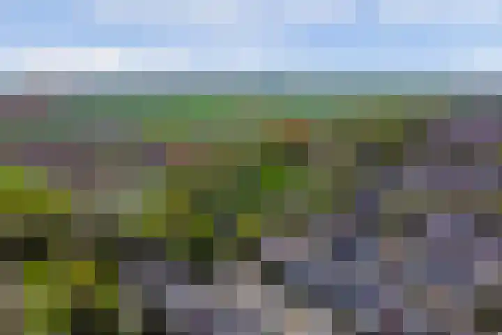 Schouwschuit 24 Grootebroek thumbnail 4