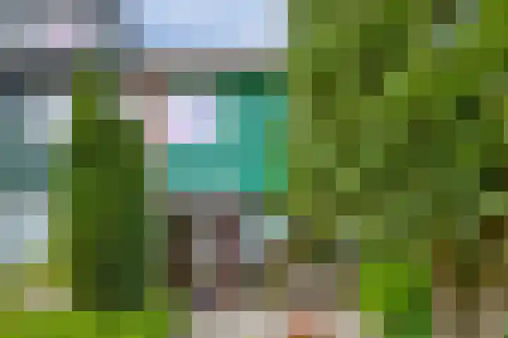 Schouwschuit 24 Grootebroek thumbnail 42