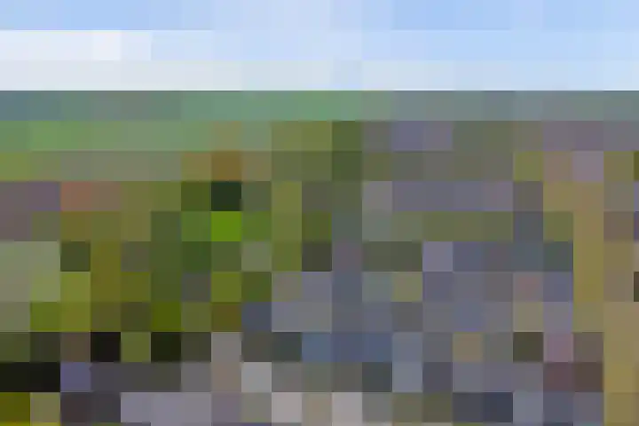 Schouwschuit 24 Grootebroek thumbnail 43