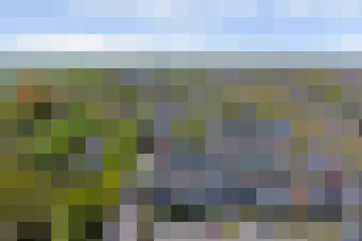 Schouwschuit 24 Grootebroek thumbnail 44