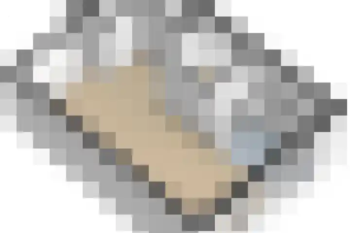 Schouwschuit 24 Grootebroek thumbnail 46