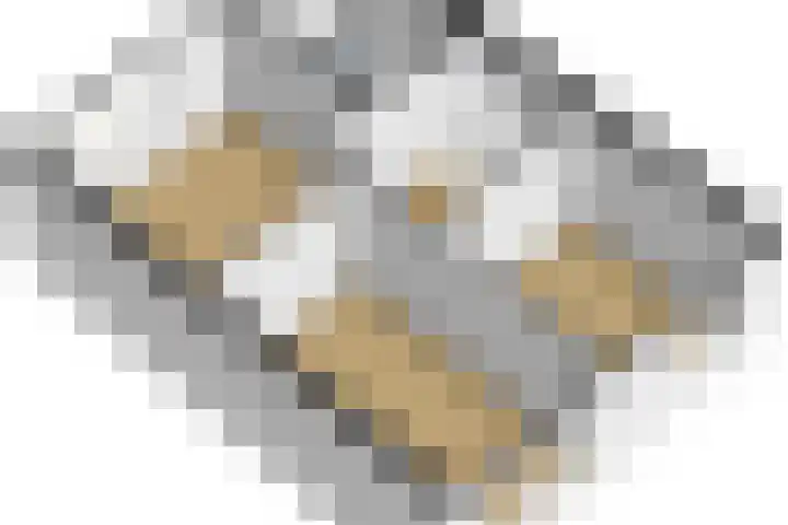 Schouwschuit 24 Grootebroek thumbnail 48