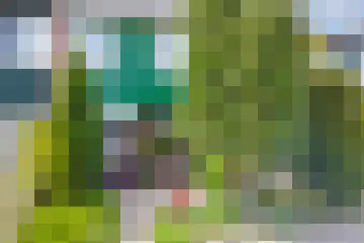 Schouwschuit 24 Grootebroek thumbnail 5