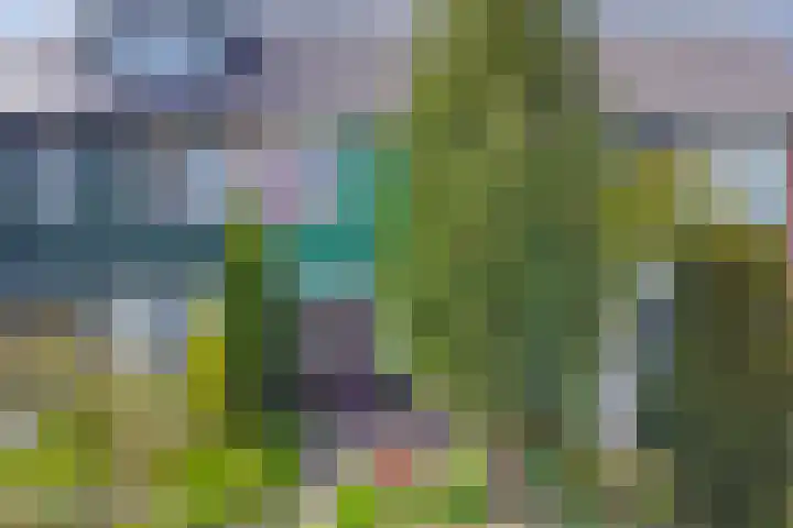 Schouwschuit 24 Grootebroek thumbnail 53