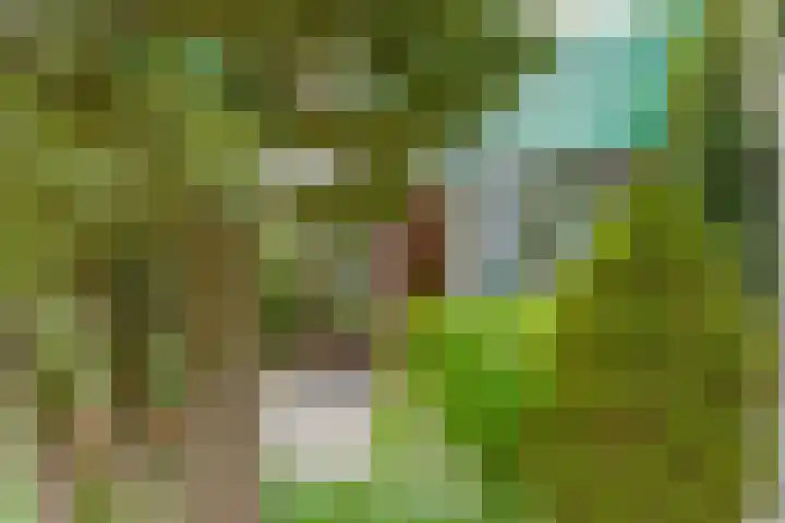 Schouwschuit 24 Grootebroek thumbnail 6