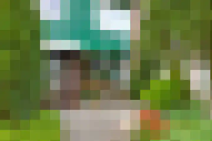 Schouwschuit 24 Grootebroek thumbnail 7