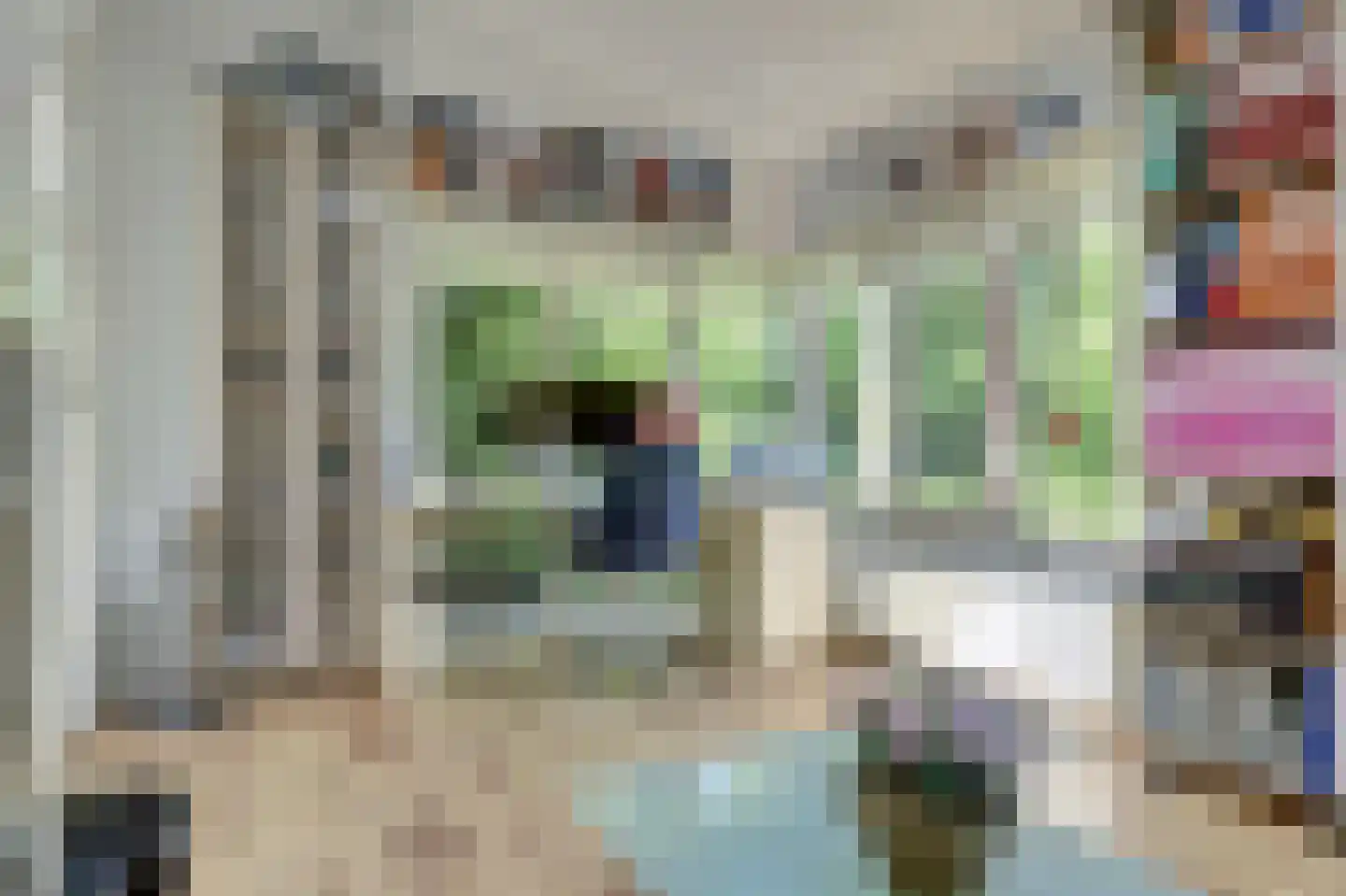 Schouwschuit 39 Grootebroek thumbnail 15