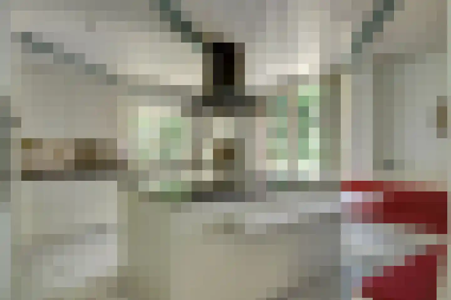 Schouwschuit 39 Grootebroek thumbnail 20