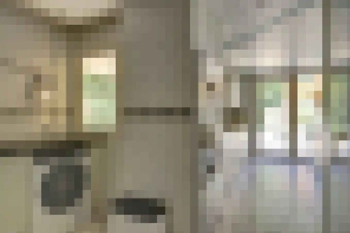 Schouwschuit 39 Grootebroek thumbnail 24