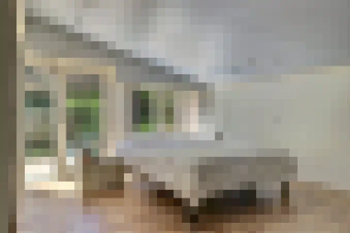 Schouwschuit 39 Grootebroek thumbnail 26
