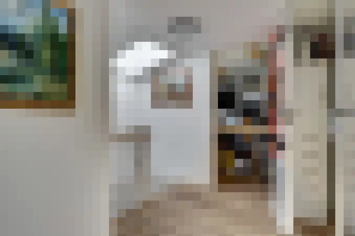 Schouwschuit 39 Grootebroek thumbnail 40