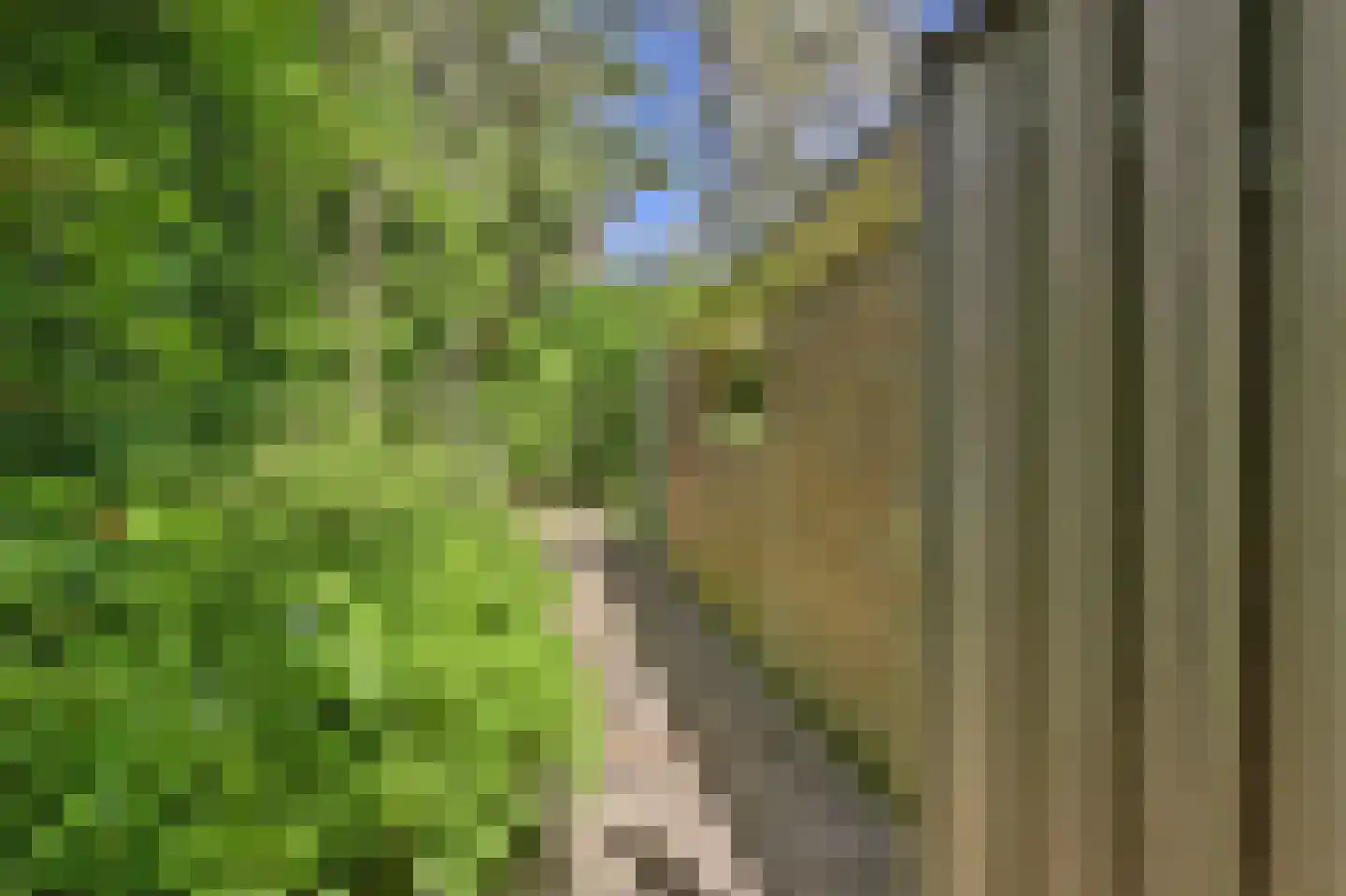 Schouwschuit 39 Grootebroek thumbnail 53