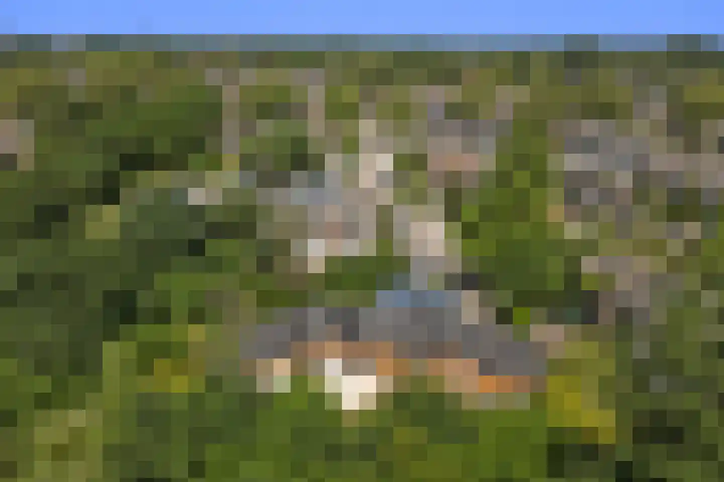 Schouwschuit 39 Grootebroek thumbnail 59