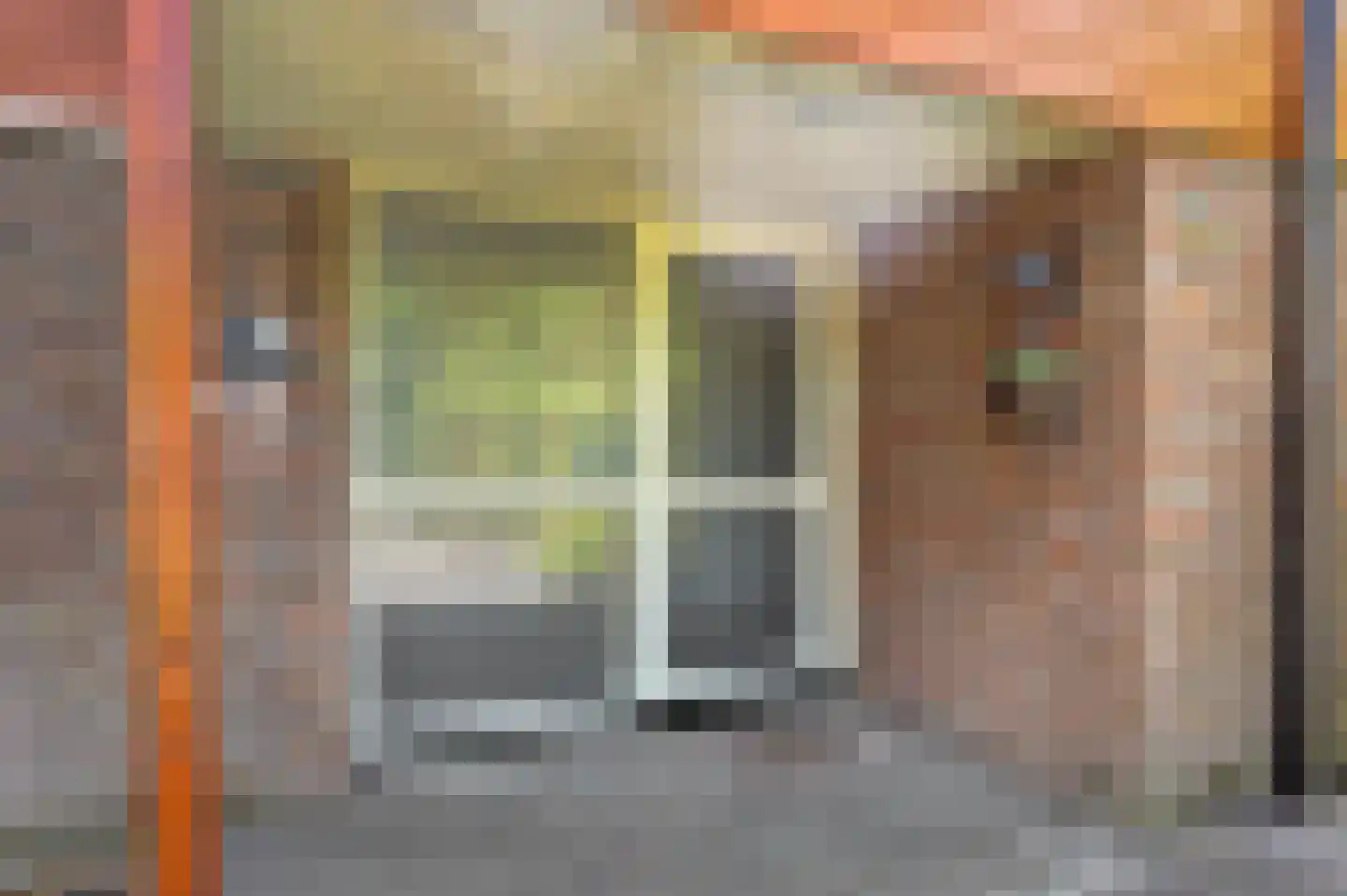 Schouwschuit 39 Grootebroek thumbnail 6
