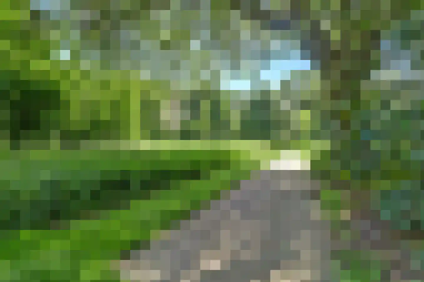 Schouwschuit 39 Grootebroek thumbnail 60