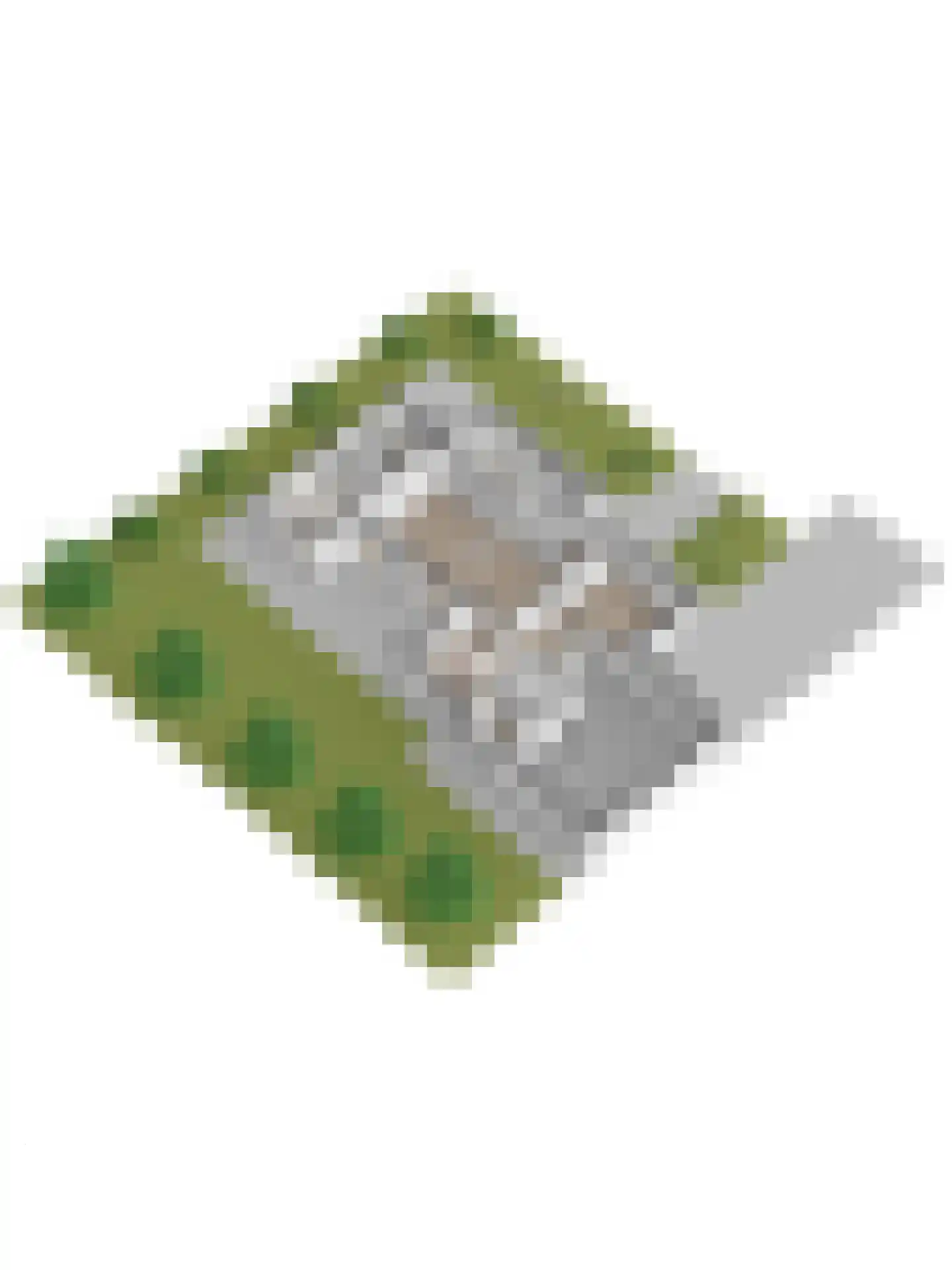Schouwschuit 39 Grootebroek thumbnail 64