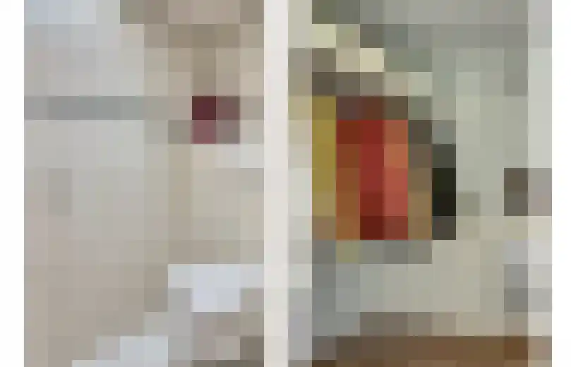 Schouwschuit 39 Grootebroek thumbnail 7