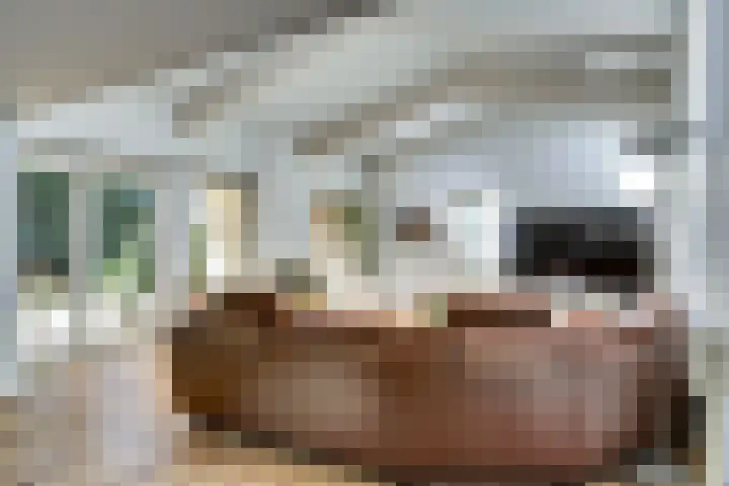Schouwschuit 39 Grootebroek thumbnail 9