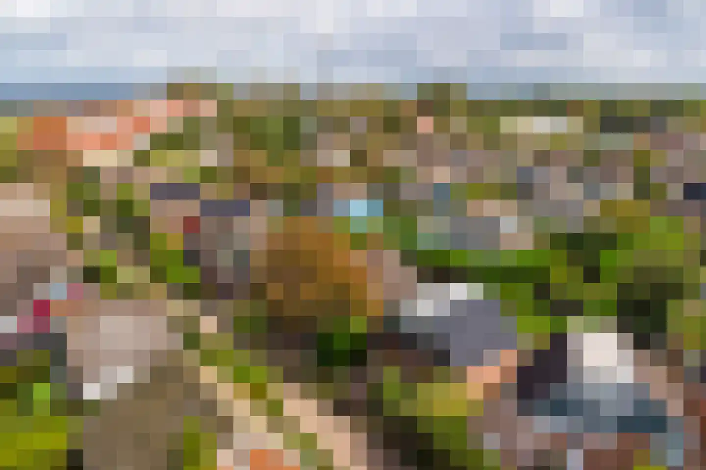 Schouwse Slag 12 Brouwershaven thumbnail 33
