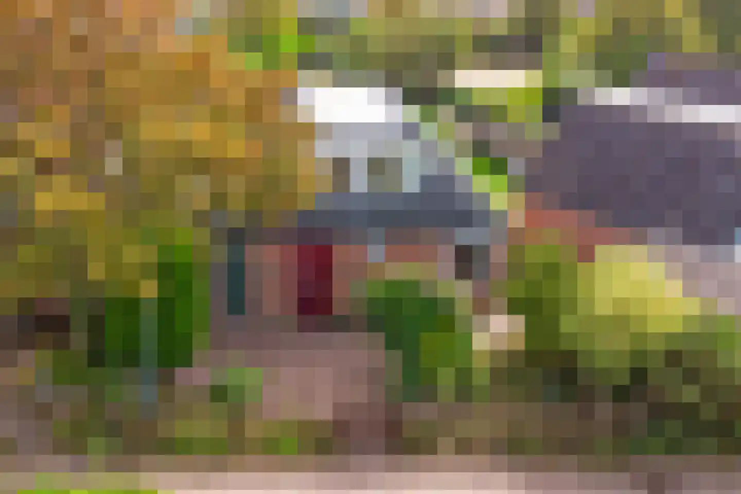 Schouwse Slag 12 Brouwershaven thumbnail 5
