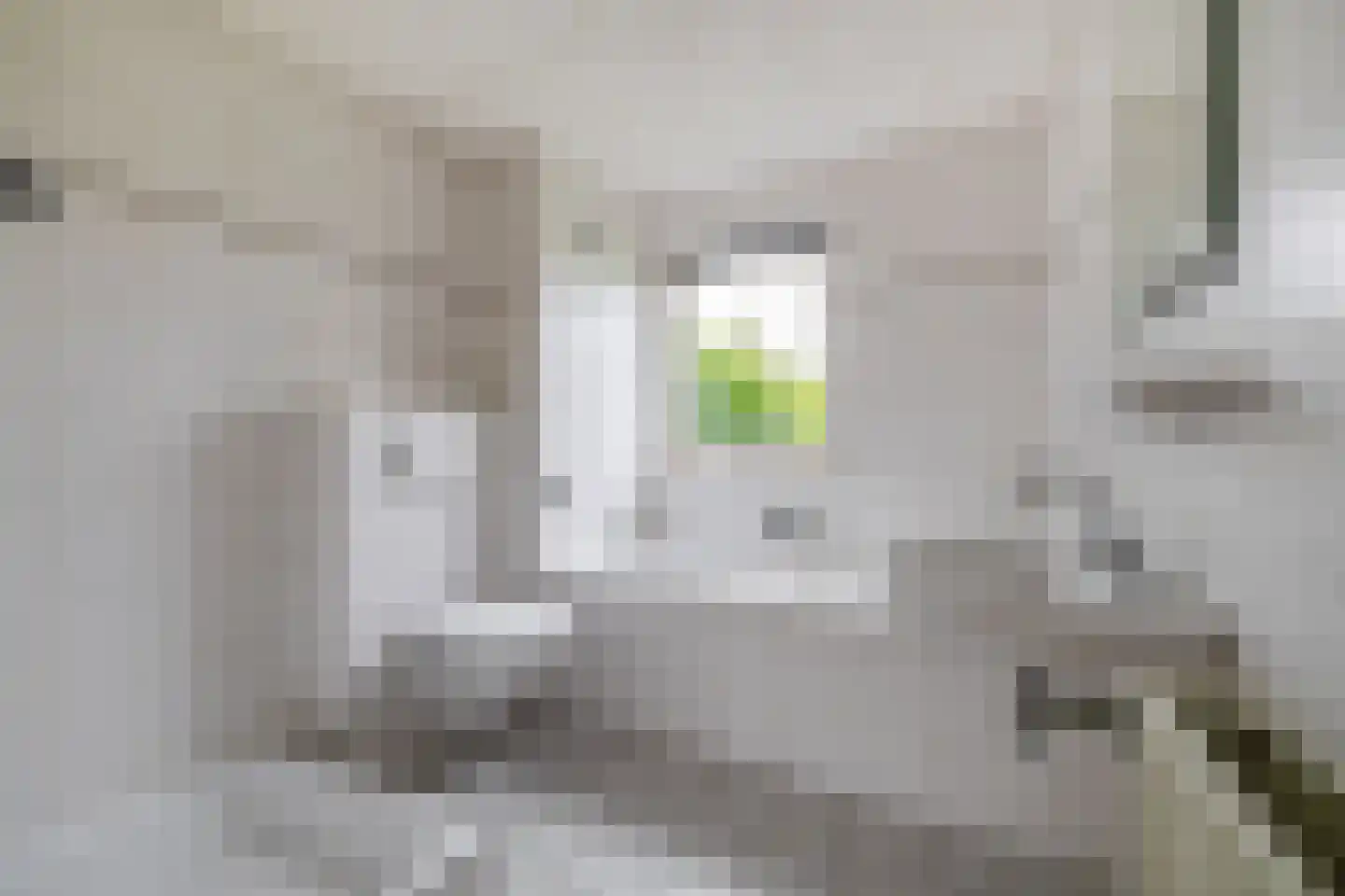 Schouwstraat 13 Lisse thumbnail 21